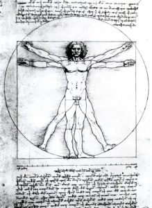 Man Vitruvian Figure Study Canon Leonardo Da
