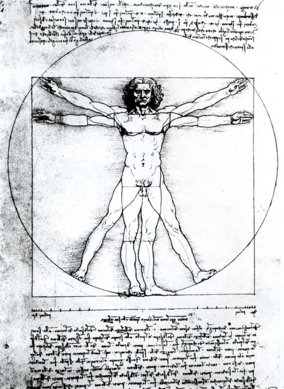 Man Vitruvian Figure Study Canon Leonardo Da